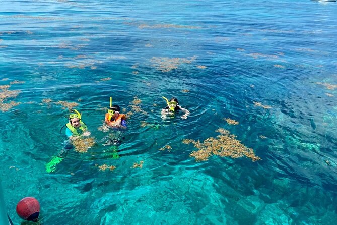Half Day Snorkel Trip on Reefs in the Florida Keys