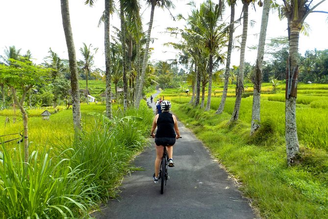 Half-Day Ubud Electric Cycling Tour to Tirta Empul Water Temple