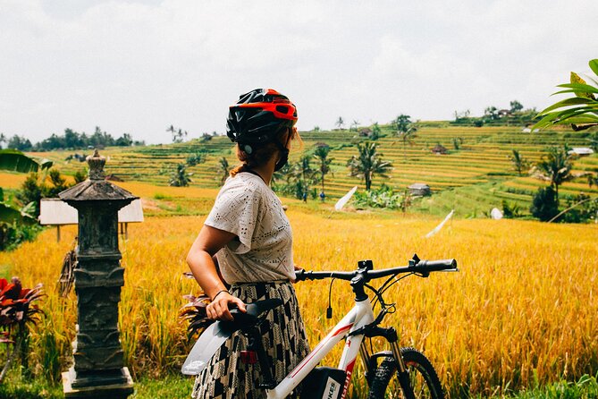 Half-Day Ubud Rice Field and Village Cycling Tour - Tour Duration and Pickup Information
