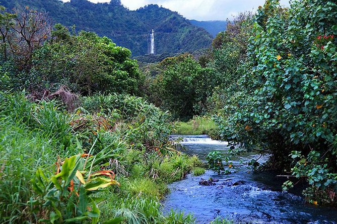 Hana Rainforest Helicopter Flight With Landing From Maui - Helicopter Details