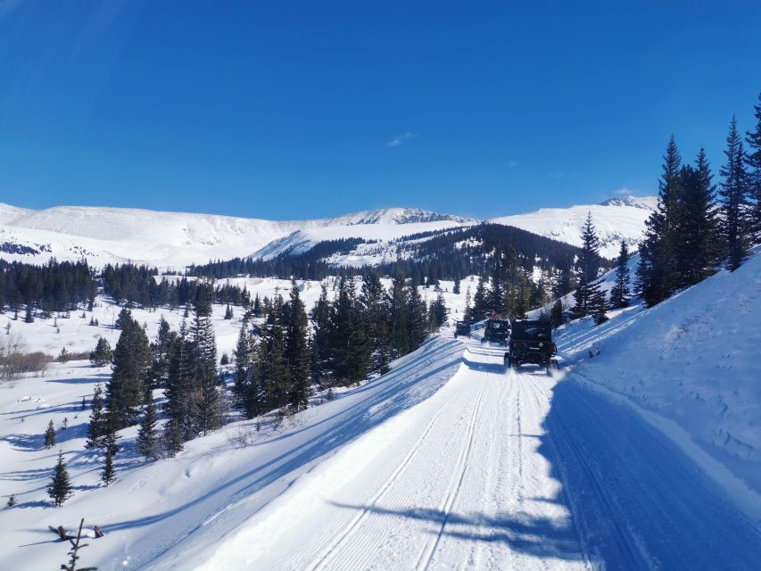 Hatcher Pass: Heated & Enclosed ATV Tours - Open All Year! - Activity Overview