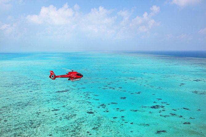 Helicopter & Cruise Great Barrier Reef Package From Port Douglas
