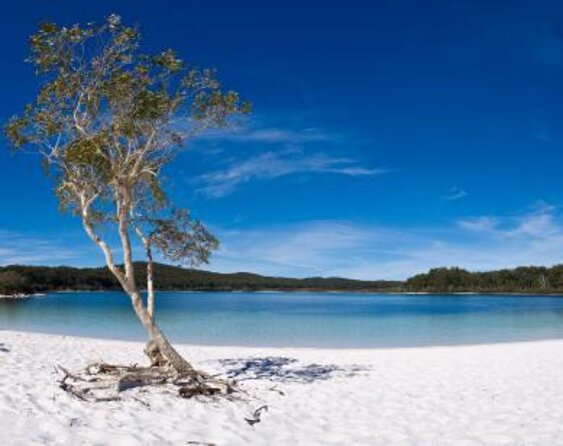 Hervey Bay to Fraser Island 4WD Tour With Lake Mckenzie Swim