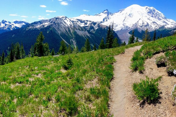 Hike Mt. Rainier & Taste Yakima Valley Wine: All-Inclusive Day Tour From Seattle - Tour Highlights