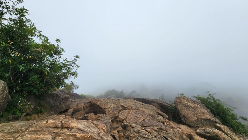 Hiking on Pedra Da GÁVEA Mountain in Rio De Janeiro