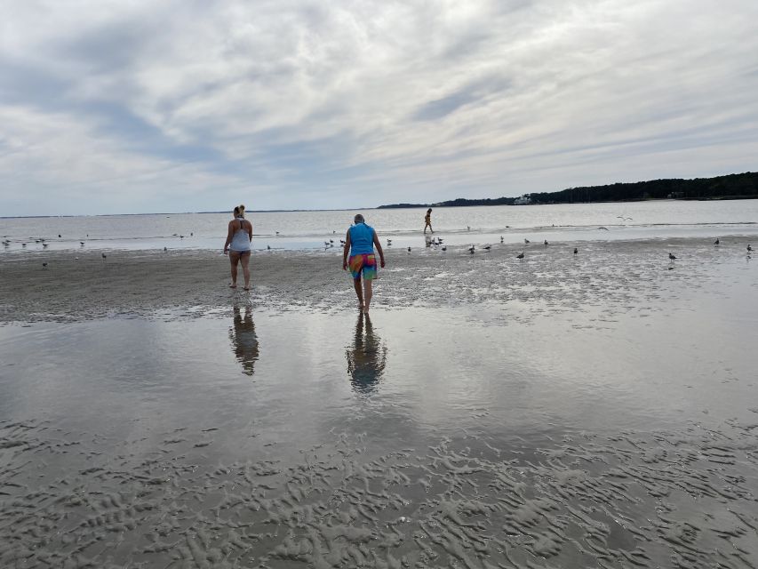 Hilton Head: Guided Disappearing Island Tour by Mini Boat - Activity Details