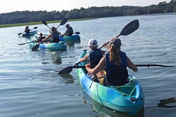 Hilton Head Guided Kayak Tour - Inclusions and Logistics