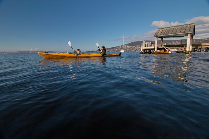 Hobart Kayak Tour - Tour Options