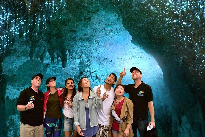 Hobbiton & Waitomo Caves Small Group Tour From Auckland