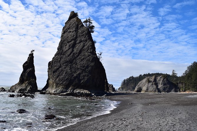 Hoh Rain Forest and Rialto Beach Guided Tour in Olympic National Park - What To Expect and Highlights