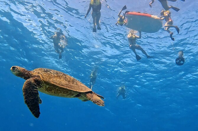Honolulu Maunalua Bay Snorkel Tour  – Oahu
