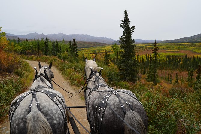 Horse-Drawn Covered Wagon Ride With Backcountry Dining - Tour Overview and Experience