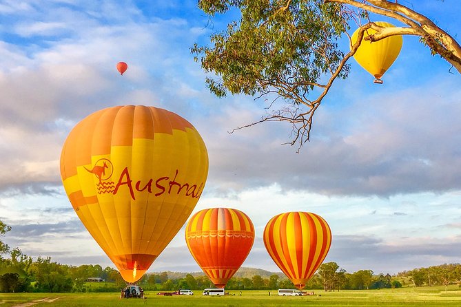 Hot Air Balloon Flight Brisbane With Vineyard Breakfast - Experience Details