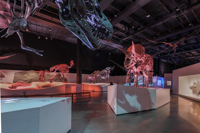 Houston Museum of Natural Science General Admission - Admission Details