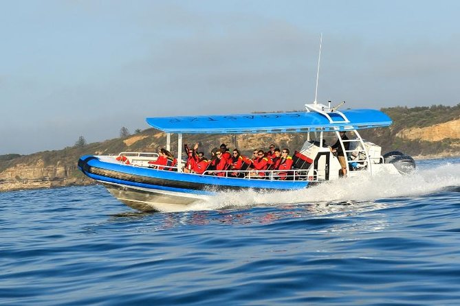 Hunter Coastal Adventure Tour by Boat From Newcastle - Booking Information