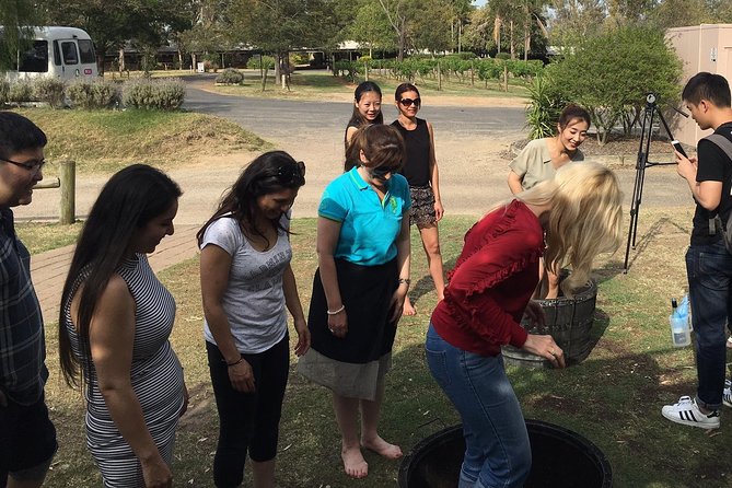 Hunter Valley Grape Stomping - Experience Details