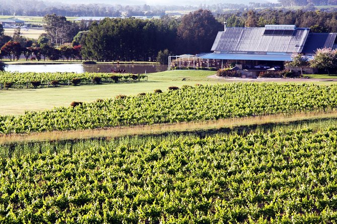 Hunter Valley Private Wine Tasting Tour From Sydney
