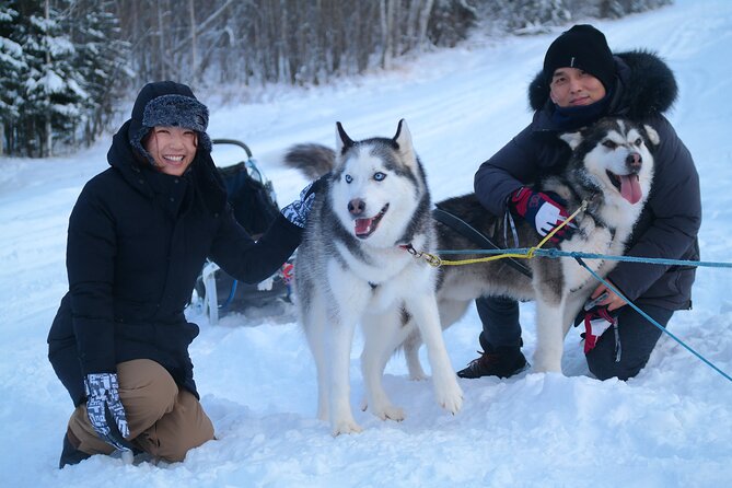 Husky Dog Sledding & Mushing With Pick up and Photo Service in Fairbanks, Alaska