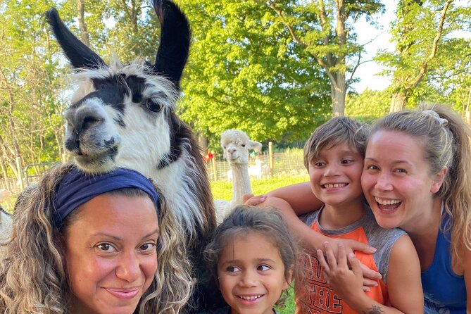 Hyde Park NY, Llama/ Alpaca Hike and Farm Tour  - The Catskills - Farm Animals Interaction