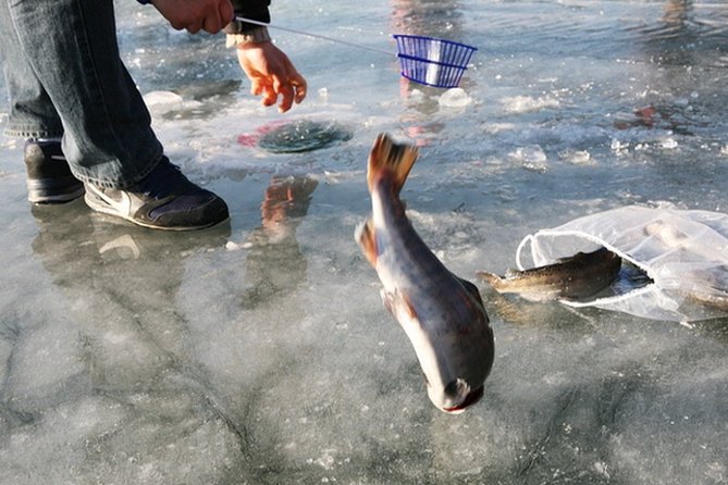 Ice Fishing Tour – Hwacheon Sancheoneo Ice Festival Day Trip From Seoul