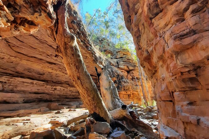 Ikara-Flinders Ranges Hiking Tour - 5 Days - Tour Highlights