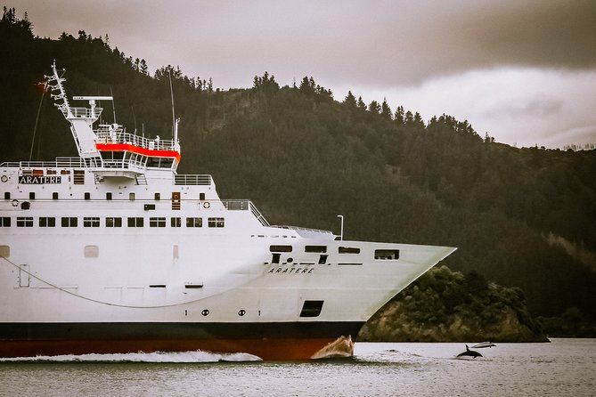 InterIslander Ferry - Picton to Wellington - Booking and Travel Information