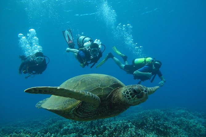 Intro to Scuba Diving in Kaanapali - Training and Skills Development