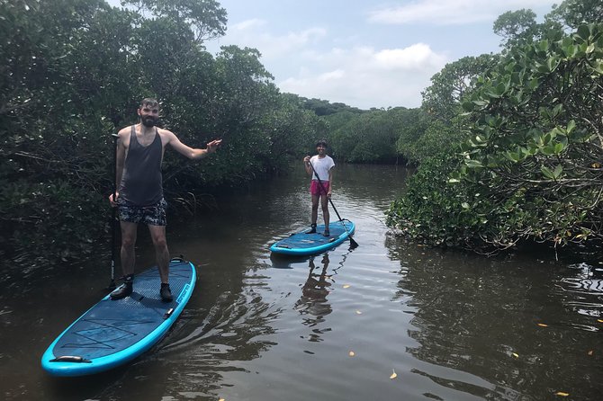 Ishigaki Island Unexplored Subtropical Mangrove Sap Experience