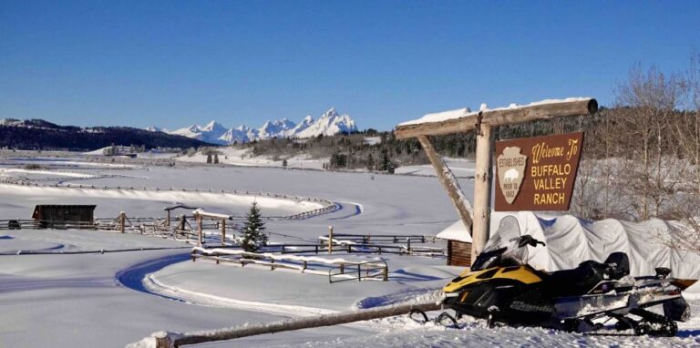 Jackson Hole: Bridger-Teton Guided Snowmobile Tour
