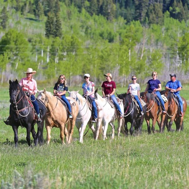 Jackson Hole: Bryan's Flat Guided Scenic Horseback Ride - Highlights of the Ride