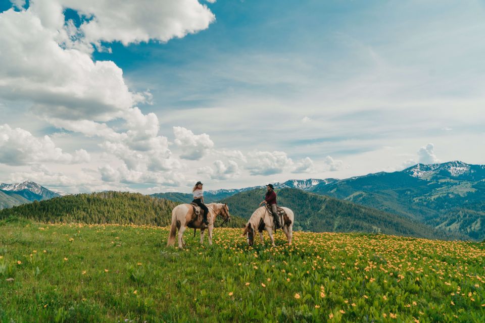 Jackson Hole: Moose Meadow Horseback Tour With Breakfast