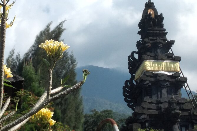 Jakarta Bogor Botanical Garden, Waterfall and Rice Terrace, Lunch - Tour Pricing Details