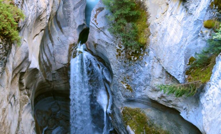 Jasper: Wildlife and Waterfalls Tour With Lakeshore Hike