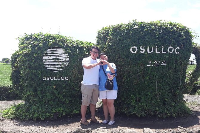 Jeju Island Private Taxi Tour in Osulloc & Innisfree & Iho Beach