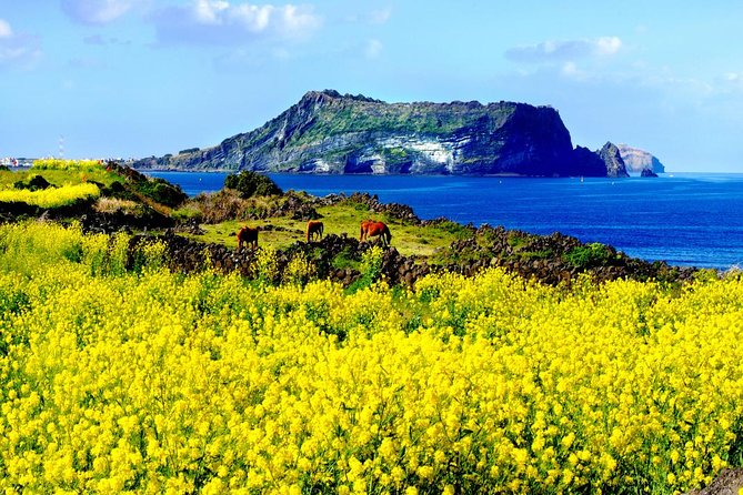 Jeju Premium Small Group UNESCO Day Tour - East Course - Inclusions and Exclusions