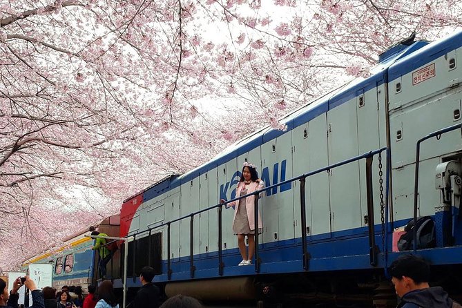Jinhae Cherry Blossom and Busan Sunrise Tour From Seoul - Tour Inclusions and Highlights