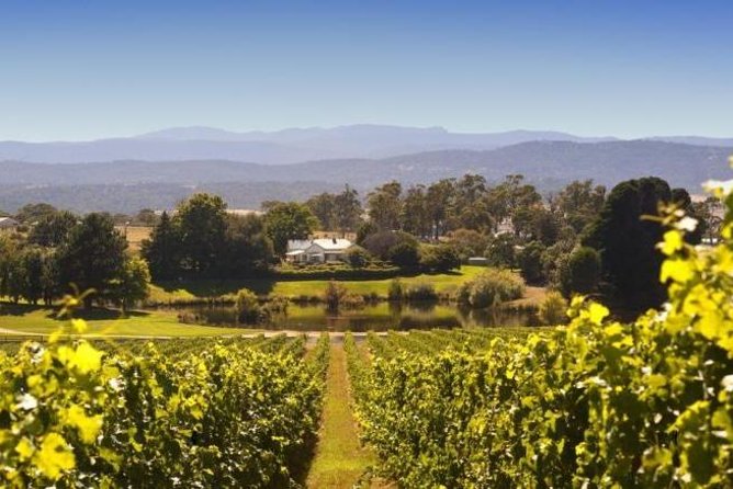 Josef Chromy Wines: Tour, Tasting and Lunch - Tour Duration and Activities