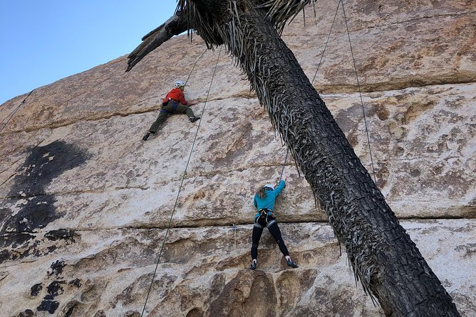 Joshua Tree Small-Group Half-Day Rock-Climbing Experience  – Palm Springs