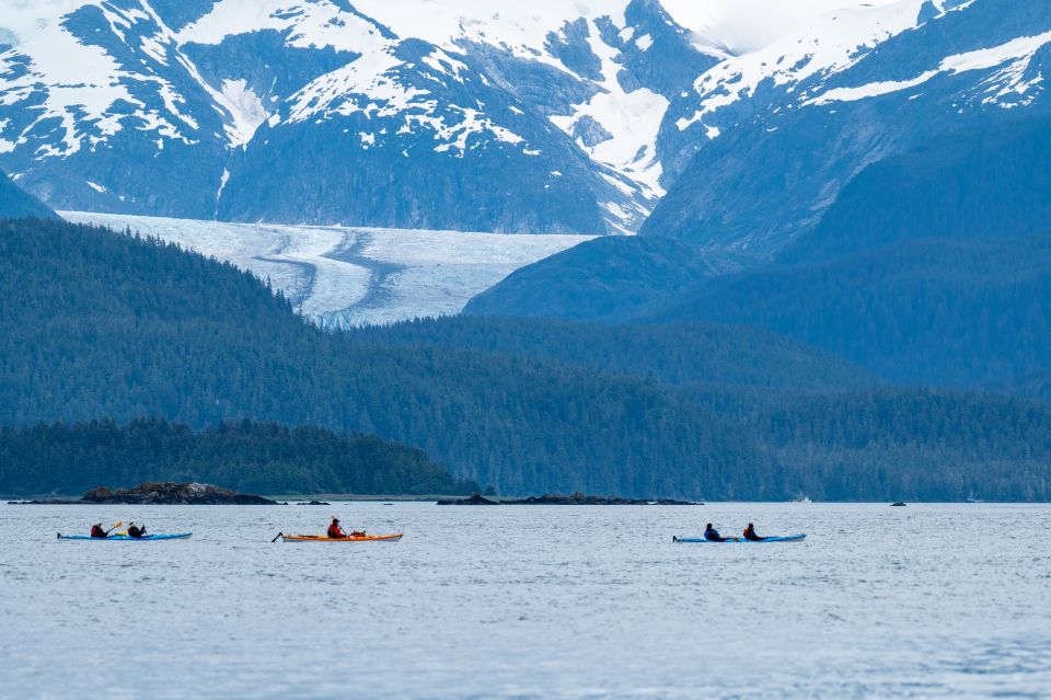 Juneau: Channel Islands Whale Watching Kayak Adventure - Activity Details