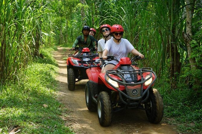 Jungle ATV Quad Bike Through Gorilla Face Cave - Inclusive ATV Exploration