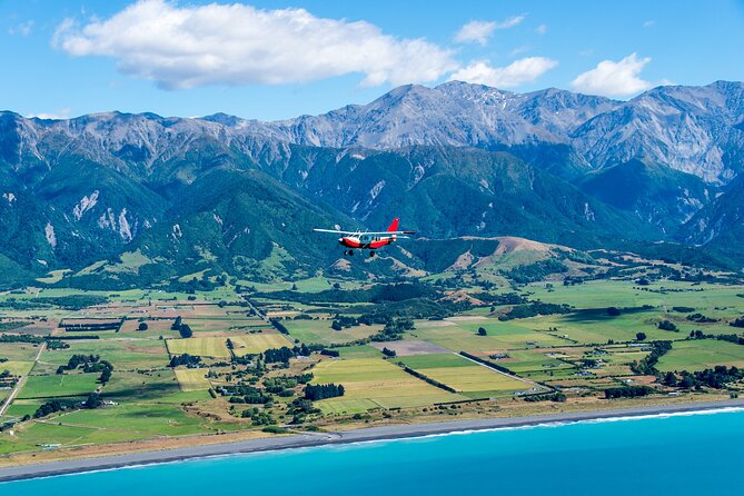Kaikoura: Coastal and Alpine Scenic Airplane Flight