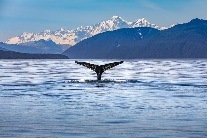 Kaikoura Day Tour With Whale Watching From Christchurch - Tour Itinerary
