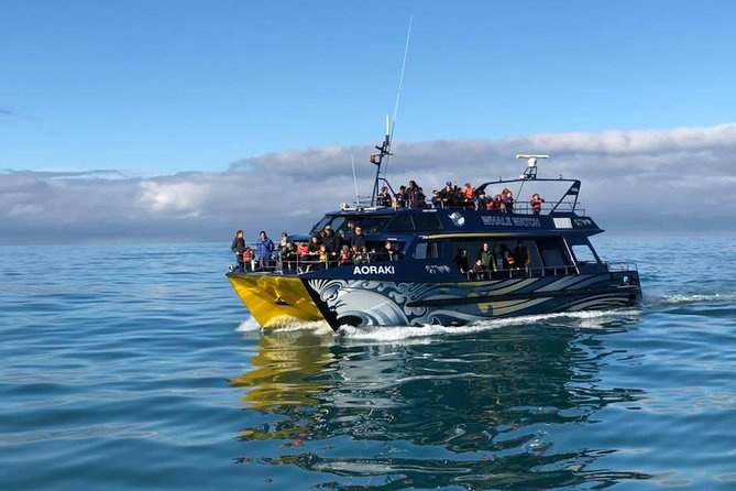 Kaikoura Day Tour With Whale Watching