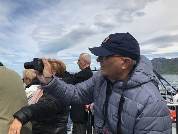 Kaikoura Day Trip – Whales Encounter