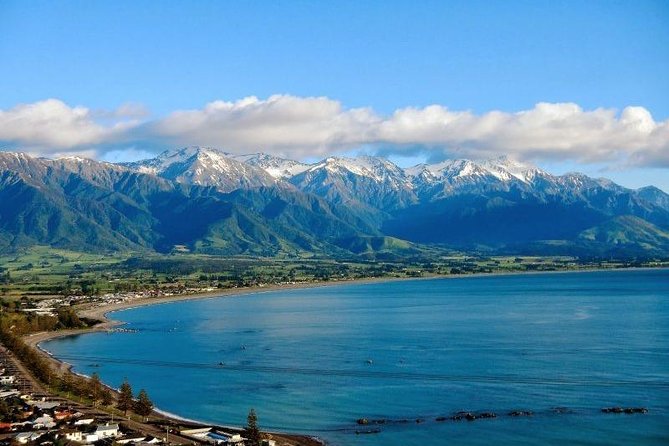 Kaikoura Swim With Dolphins Tour From Christchurch - Tour Highlights