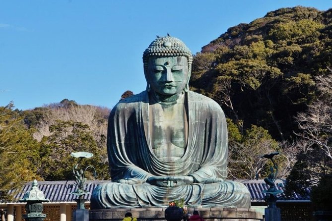Kamakura Bamboo Forest and Great Buddha Private Tour - Tour Highlights