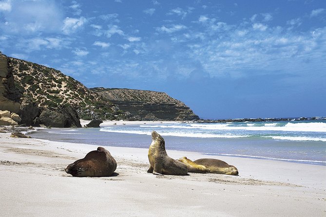 Kangaroo Island Shore Excursion Scenic Trail Tour - Tour Highlights and Itinerary