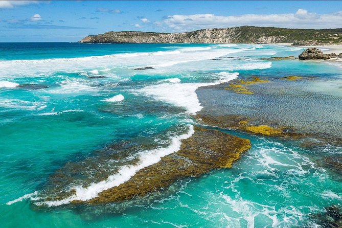 Kangaroo Island Shore Excursion Tasting Tour – For Cruise Ship Passengers Only