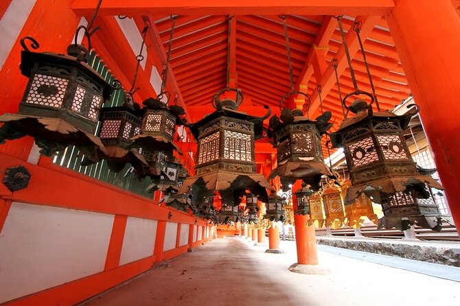 Kansai Adventure: Discovering Nara Private Guided Tour
