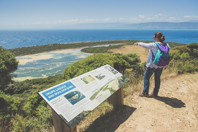 Kapiti Island Classic Guided Day Tour - Meeting and Pickup Details